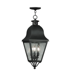 Livex Lighting Amwell Outdoor Chain Hang in Black 2557-04 - All