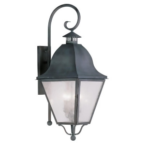 Livex Lighting Amwell Outdoor Wall Lantern in Charcoal 2558-61 - All