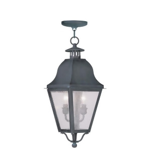 Livex Lighting Amwell Outdoor Chain Hang in Charcoal 2546-61 - All