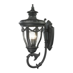 Elk Lighting Anise Collection 1 Light Outdoor Sconce 45077-3 - All