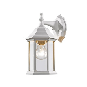 Z-lite Waterdown 1 Light Outdoor Wall Light Gloss White Clear Beveled T21wh - All