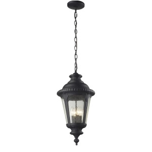 Z-lite Medow Outdoor Chain Light 11.875x25 Black Clear Seedy 545Chb-bk - All