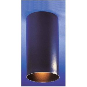 Volume Lighting 1-Light Black Flush Mount Ceiling Fixture Black V1015-5 - All