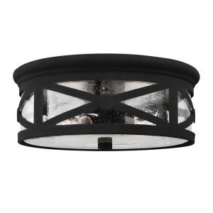Sea Gull Lighting Lakeview Two Light Outdoor Ceiling Flush Mount Black with Clear Seeded Glass 7821402-12 - All