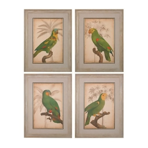 Sterling Industries Parrot And Palm I Ii Iii Iv Fine Art Giclee Under Glass Washed Wood Washed Wood 151-018-S4 - All