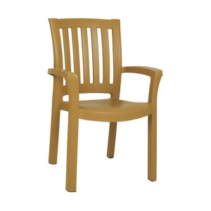 Compamia Sunshine Resin Dining Arm Chair Teak Brown Isp015-tea - All