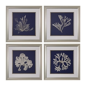 Sterling Industries Seaweed On Navy I Ii Iii Iv Fine Art Giclee Under Glass Silver Silver 151-021-S4 - All