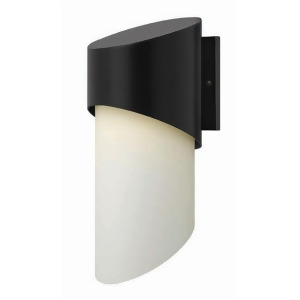 Hinkley Lighting Solo 1 Light Outdoor Large Wall Mount Satin Black 2065Sk - All