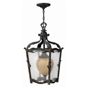 Hinkley Lighting Sorrento 1 Light Outdoor Hanging Aged Iron 1422Ai - All