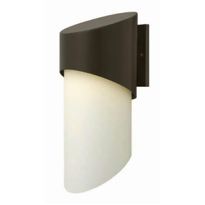 Hinkley Lighting Solo 1 Light Outdoor Large Wall Mount Bronze 2065Bz - All