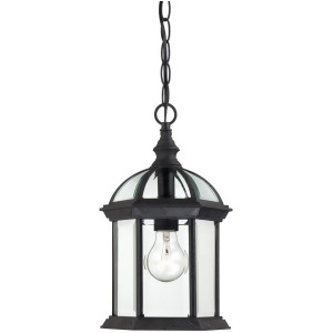 Nuvo Boxwood 1 Light 14 Outdoor Hanging w/ Clear Glass Text. Black 60-4979 - All