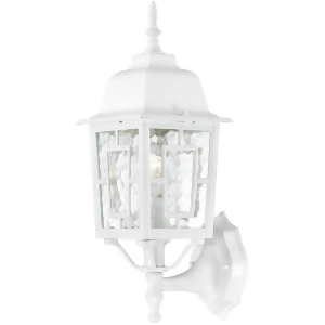 Nuvo Banyan 1 Light 17 Outdoor Wall w/ Clear Water Glass White 60-4924 - All