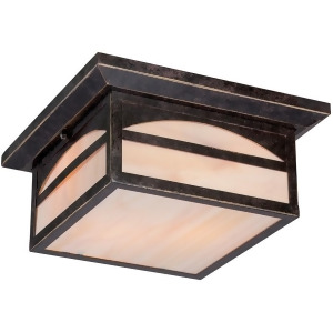 Nuvo Canyon 2 Light Outdoor Flush Mount w/ Honey Glass Umber Bronze 60-5656 - All
