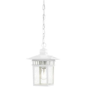 Nuvo Cove Neck 1 Light 12 Outdoor Hang w/ Clear Seed Glass White 60-4954 - All