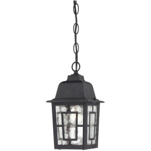 Nuvo Banyan 1 Light 11 Outdoor Hanging Clear Glass Text. Black 60-4933 - All