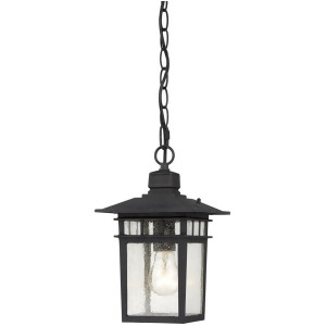 Nuvo Cove Neck 1 Light 12 Outdoor Hang w/ Clear Glass Textured Black 60-4956 - All