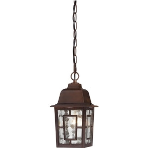 Nuvo Banyan 1 Light 11 Outdoor Hanging Clear Glass Rustic Bronze 60-4932 - All