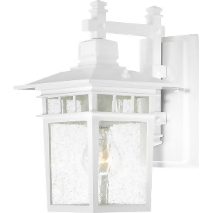 Nuvo Cove Neck 1 Light 12 Outdoor Lantern w/ Clear Seed Glass White 60-4951 - All
