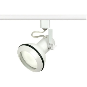 Nuvo Lighting 1 Light Par30 Euro Style Track Head White Th332 - All