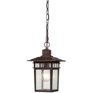 Nuvo Cove Neck 1 Light 12 Outdoor Hang w/ Clear Glass Rustic Bronze 60-4955 - All