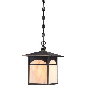 Nuvo Canyon 1 Light Outdoor Hanging Fixture Honey Glass Umber Bronze 60-5654 - All