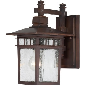 Nuvo Cove Neck 1 Light 12 Outdoor Lantern Clear Glass Rustic Bronze 60-4952 - All