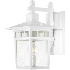 Nuvo Cove Neck 1 Light 14 Outdoor Lantern w/ Clear Seed Glass White 60-4957 - All