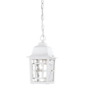 Nuvo Banyan 1 Light 11 Outdoor Hanging w/ Clear Water Glass White 60-4931 - All
