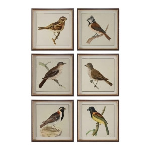 Uttermost Spring Soldiers Bird Prints S/6 33627 - All
