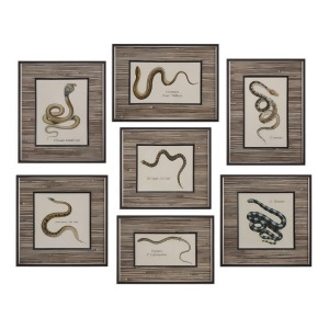 Uttermost Snakes Under Glass Prints S/7 33637 - All