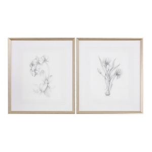 Uttermost Botanical Sketches Framed Prints S/2 33649 - All