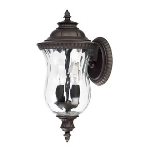 Capital Lighting Ashford 2 Lamp Outdoor Wall Lantern Old Brz Antique 9781Ob - All