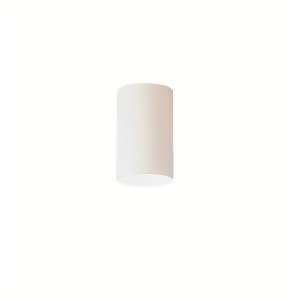 Kichler Indoor/Outdoor Ceiling 1Lt White White 9834Wh - All