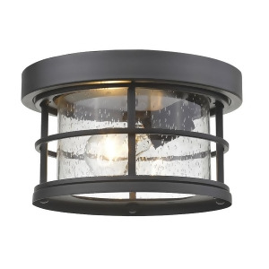 Z-lite Exterior Additions 1 Light Outdoor Black Clear Seedy 555F-bk - All