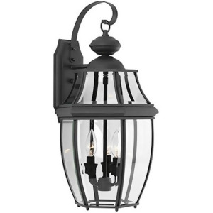Progress New Haven 3 Lt 11 Outdoor Large Wall Lantern Black/Clear P6612-31 - All
