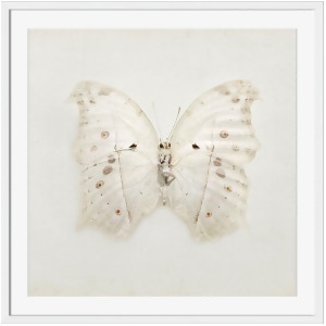 Ivory Wings Wall Art by Surya 15 x 18 Si102a001-1518 - All