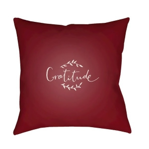 Gratitude by Surya Poly Fill Pillow Red/White 18 x 18 Gtd002-1818 - All