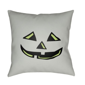 Boo by Surya Poly Fill Pillow Mint 18 x 18 Boo116-1818 - All