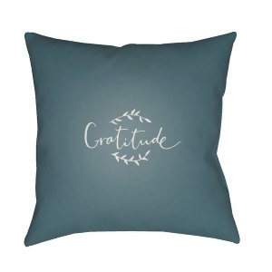 Gratitude by Surya Poly Fill Pillow Blue/White 18 x 18 Gtd004-1818 - All