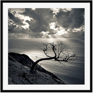 Dead Tree at Sunset Wall Art by Surya 28 x 28 Ob132a001-2828 - All
