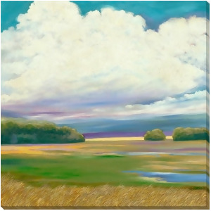 Grass Field on a Cloudy Day by Marie Meyer for Surya 40 x 40 My111a001-4040 - All