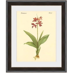 Orchidaceae No.4 Wall Art by Surya 22 x 24 Pe113a001-2224 - All