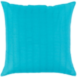 Caplin by Surya Poly Fill Pillow Sky Blue 20 x 20 Cp001-2020 - All