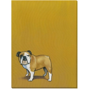 Puppy Pageant Iii Wall Art by Surya 36 x 48 Pe102a001-3648 - All