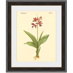 Orchidaceae No.4 Wall Art by Surya 40 x 48 Pe113a001-4048 - All