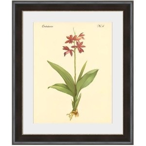 Orchidaceae No.4 Wall Art by Surya 40 x 48 Pe113a001-4048 - All
