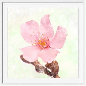 Cherry Blossom Wall Art by Surya 20 x 20 Ai270a001-2020 - All