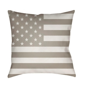 Americana by Surya Poly Fill Pillow Beige/White 20 x 20 Sol004-2020 - All
