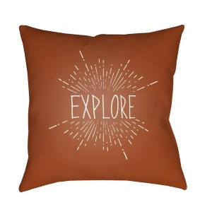 Explore Ii by Surya Poly Fill Pillow Brown/White 18 x 18 Exp004-1818 - All