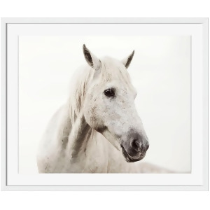 Wild White Horse by Irene Suchocki for Surya 16 x 18 Si103a001-1618 - All